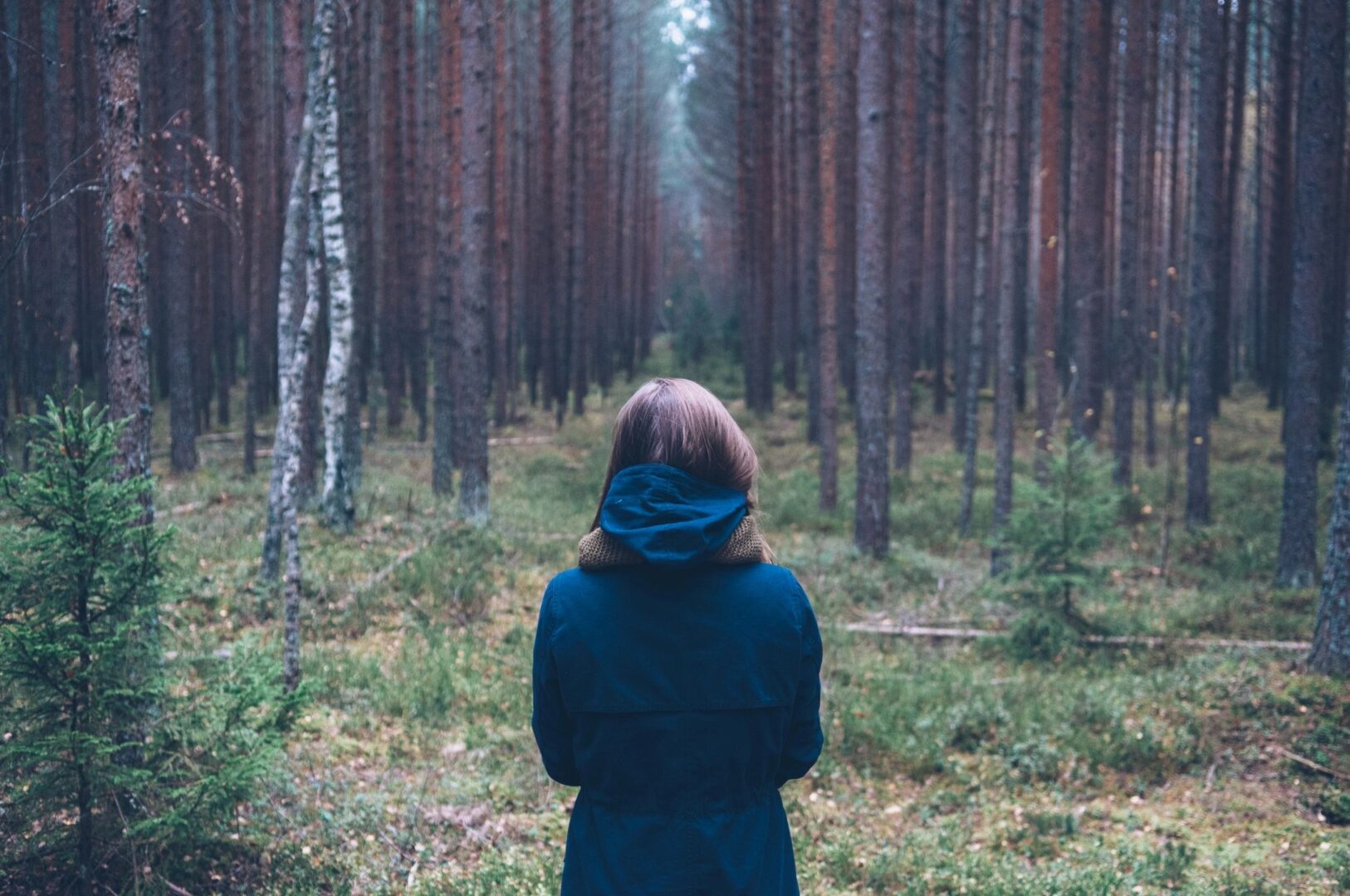 A woman in blue jacket standing on top of forest.